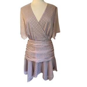 Endless Rose Dusty Rose Dress w/ Shear fabric & Metallic sliver stars Size Large